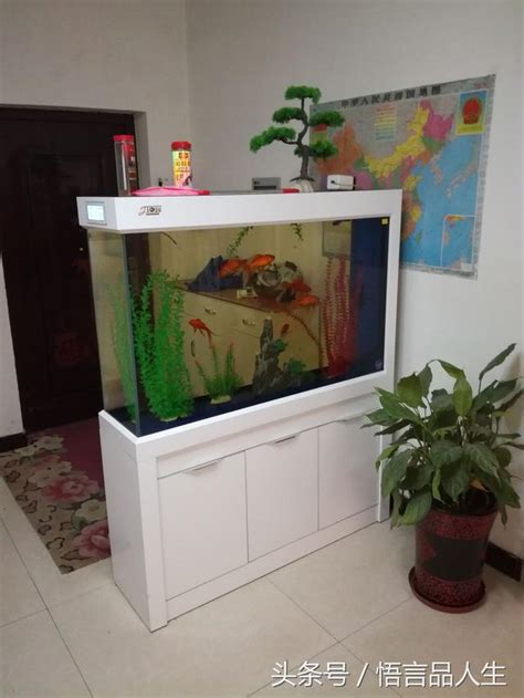 室內魚缸